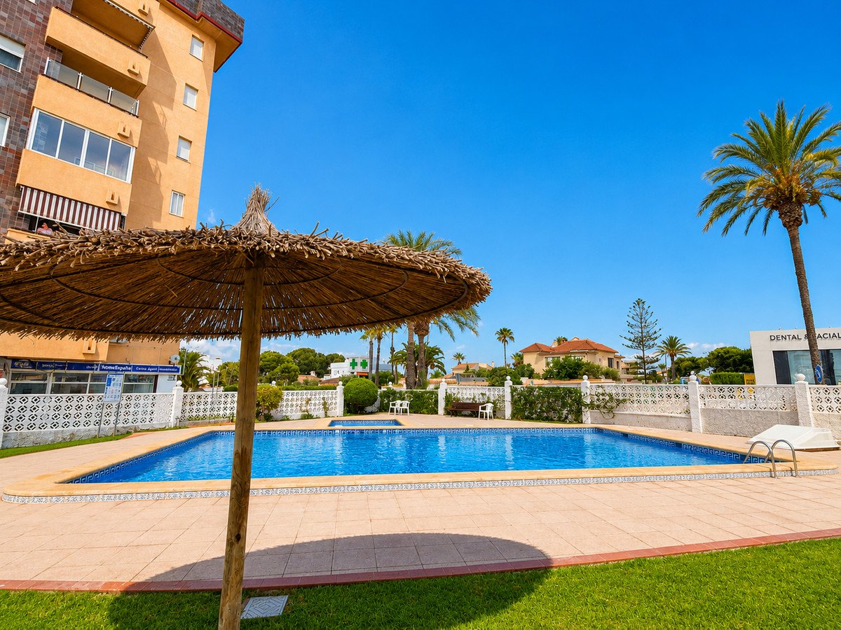 Swimming pool with thatched umbrella and tropical palm trees in the background