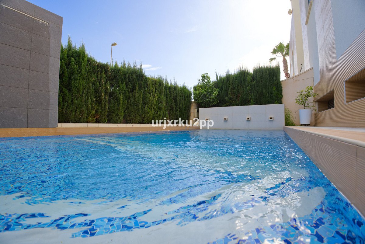 20 photo