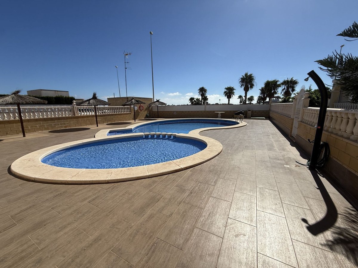 Outdoor swimming pool with blue water and beige tile surround, surrounded by palm trees and a sunny blue sky.