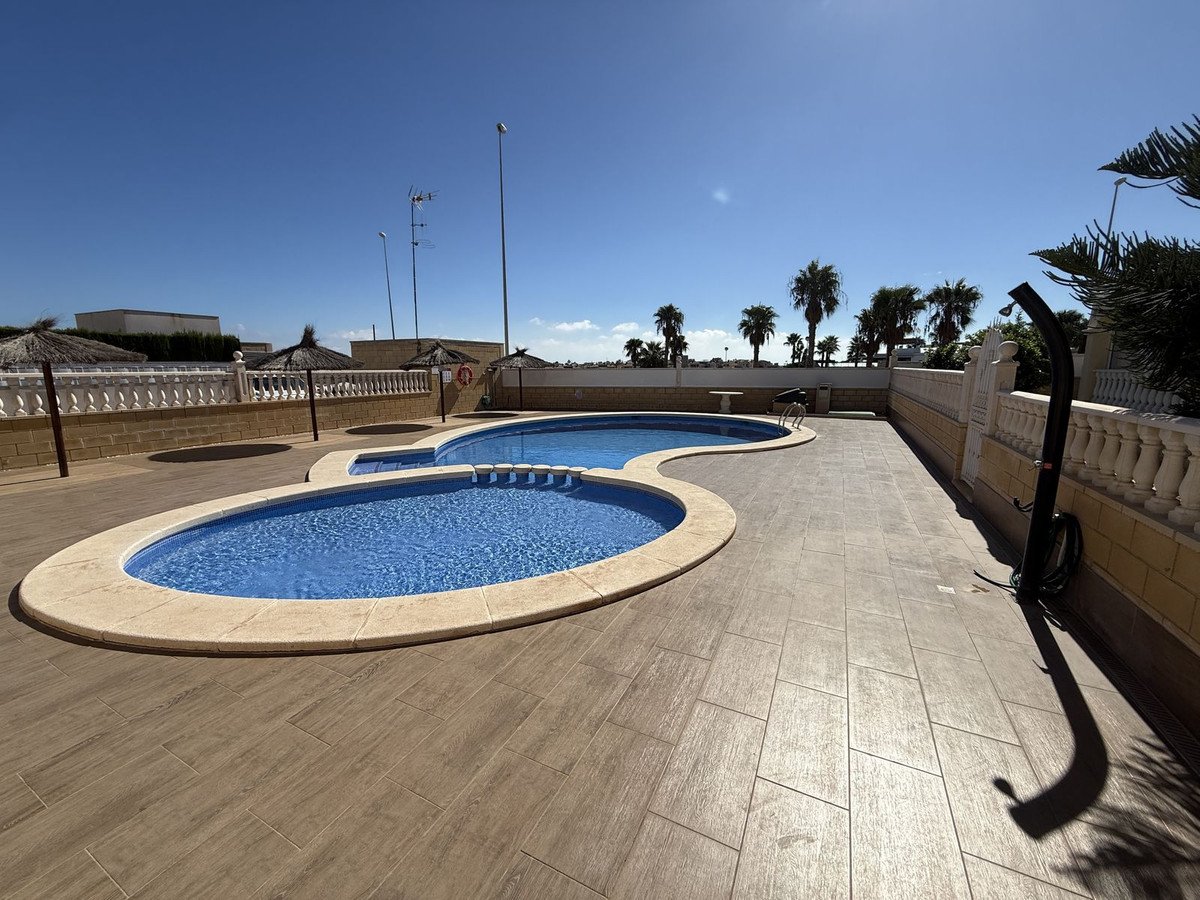 A kidney-shaped swimming pool with blue water and a surrounding tiled patio, featuring palm trees and an outdoor shower under a clear blue sky.