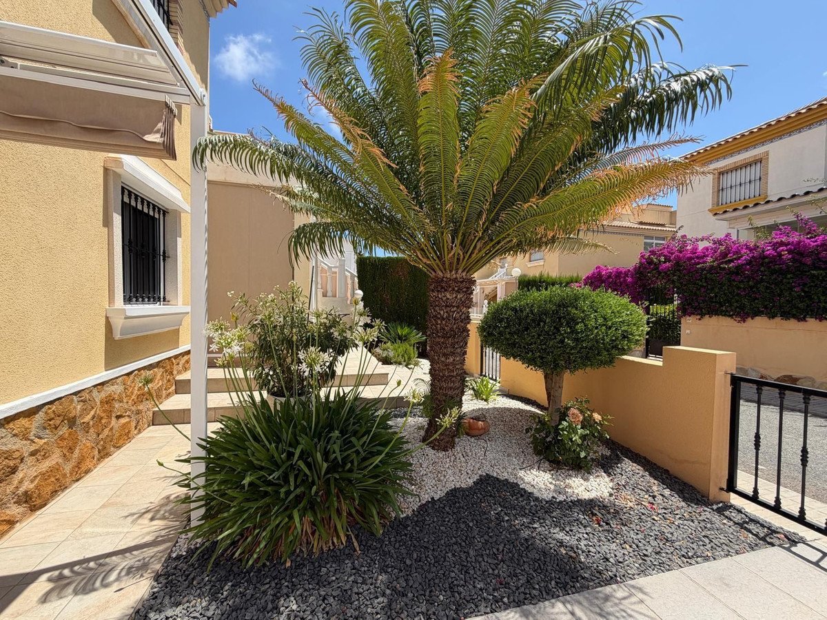 Front garden with a palm tree, lush green bushes, and vibrant purple bougainvillea flowers under a clear blue sky.
