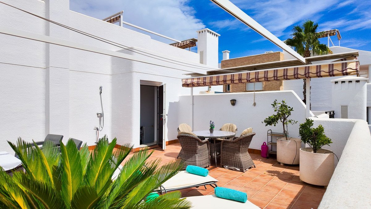 Sunny rooftop terrace with lounge chairs, dining set, and potted plants