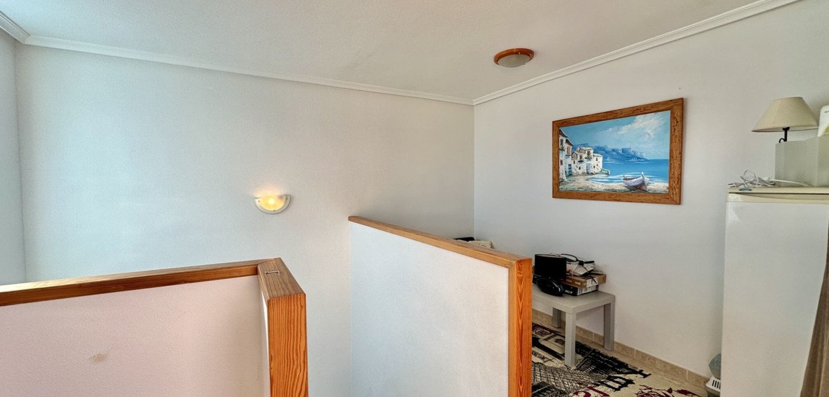 41 photo