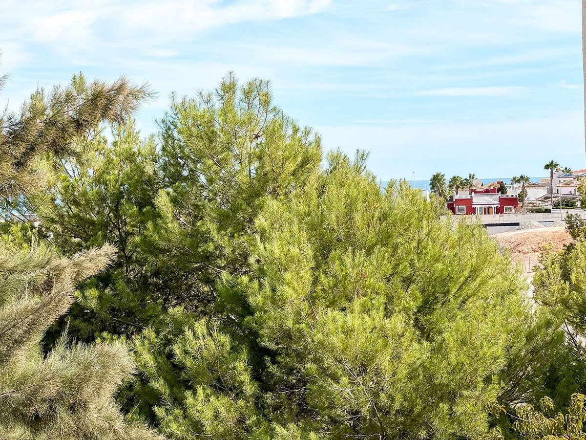 4 Bed Duplex in Playa Flamenca in Playa Flamenca, Duplex