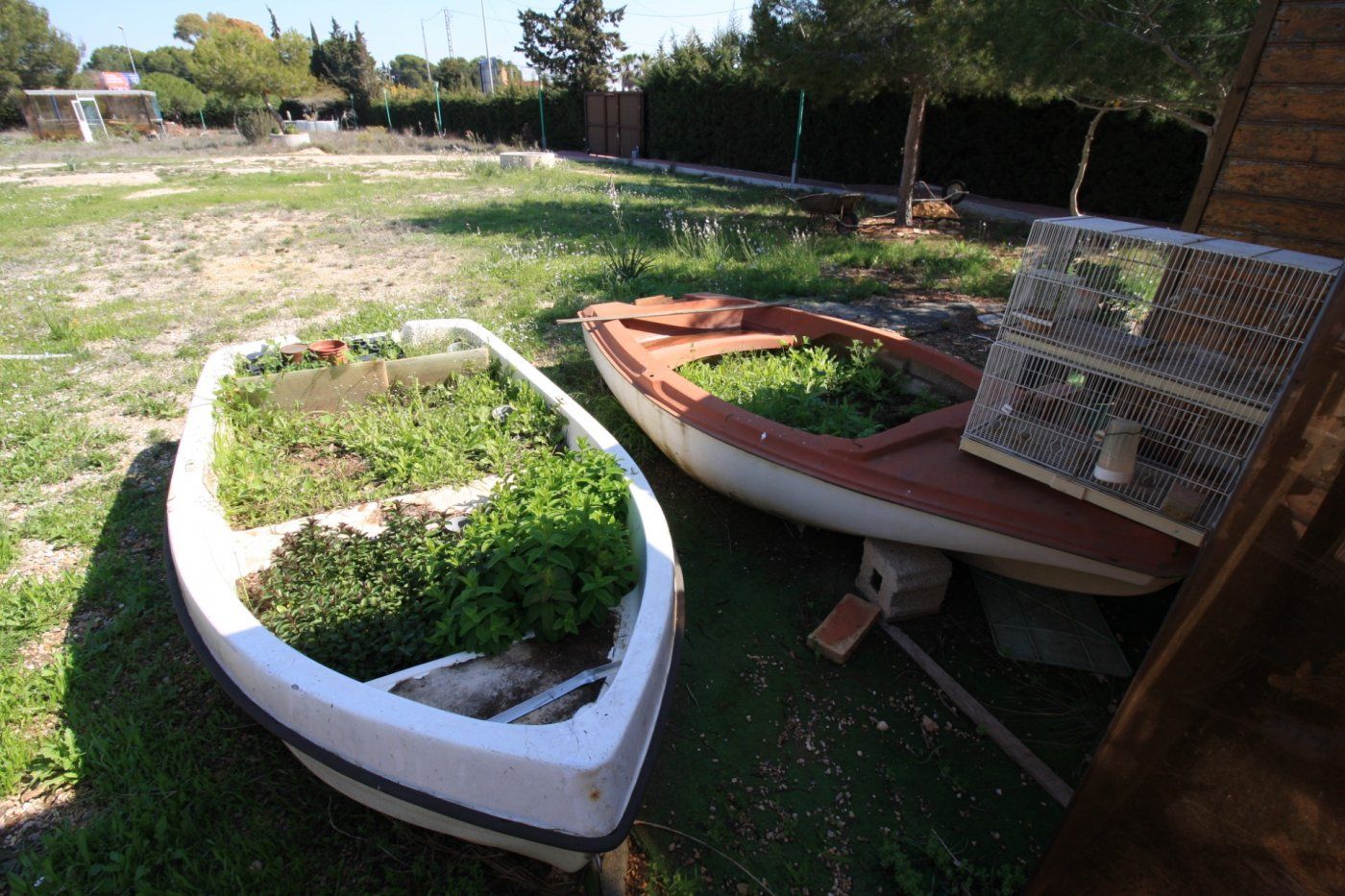 06 photo
