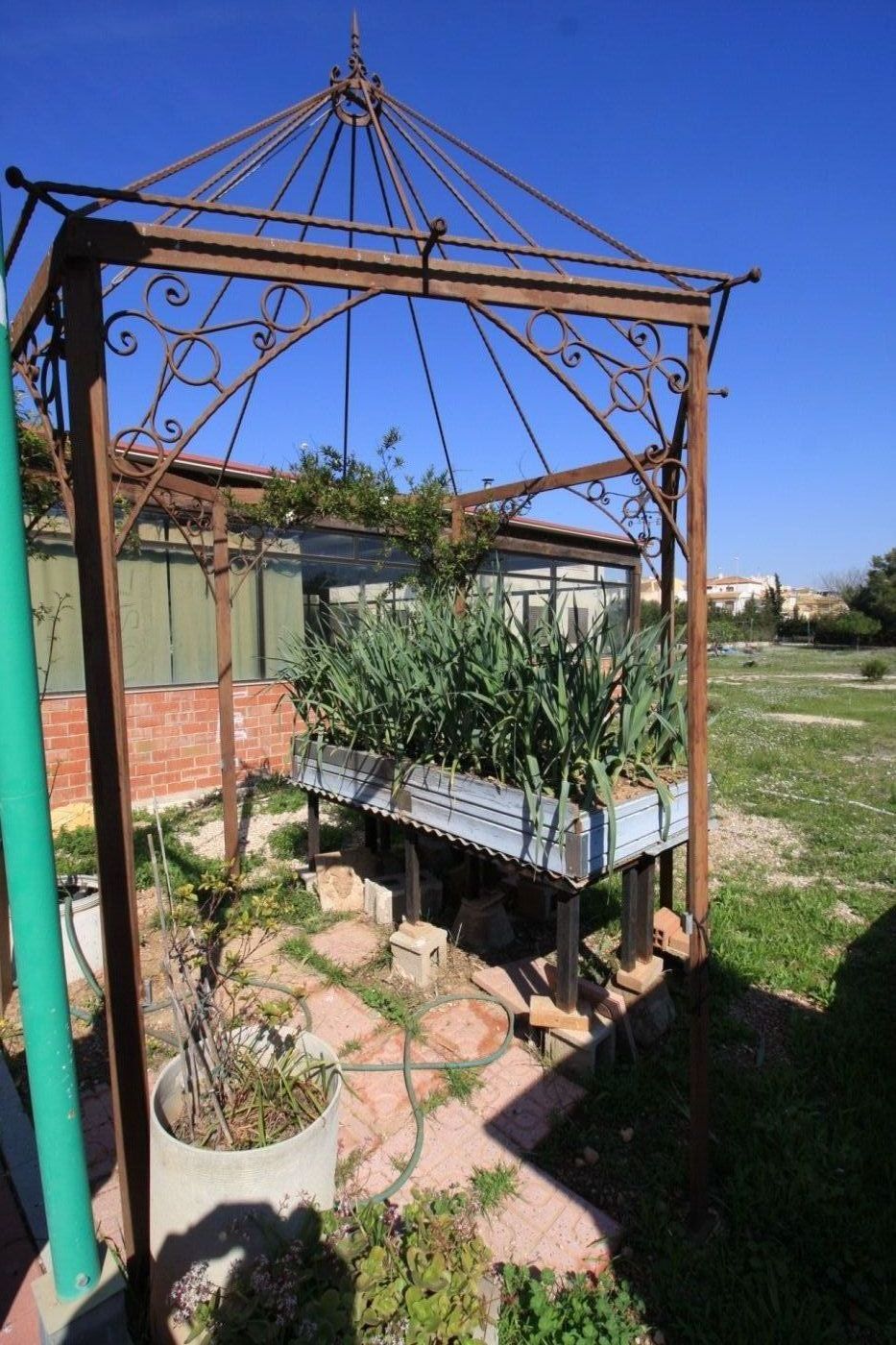 07 photo