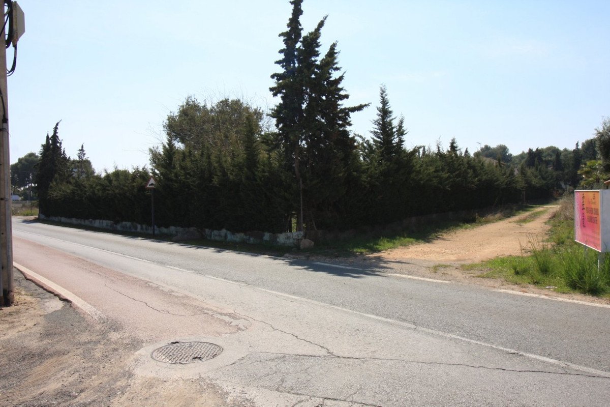 03 photo