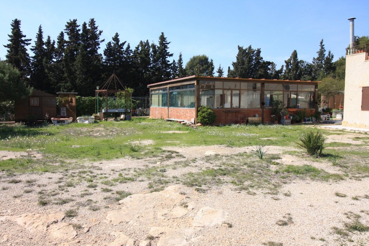 06 photo