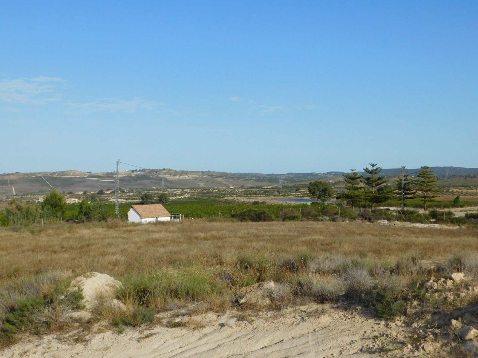 09 photo