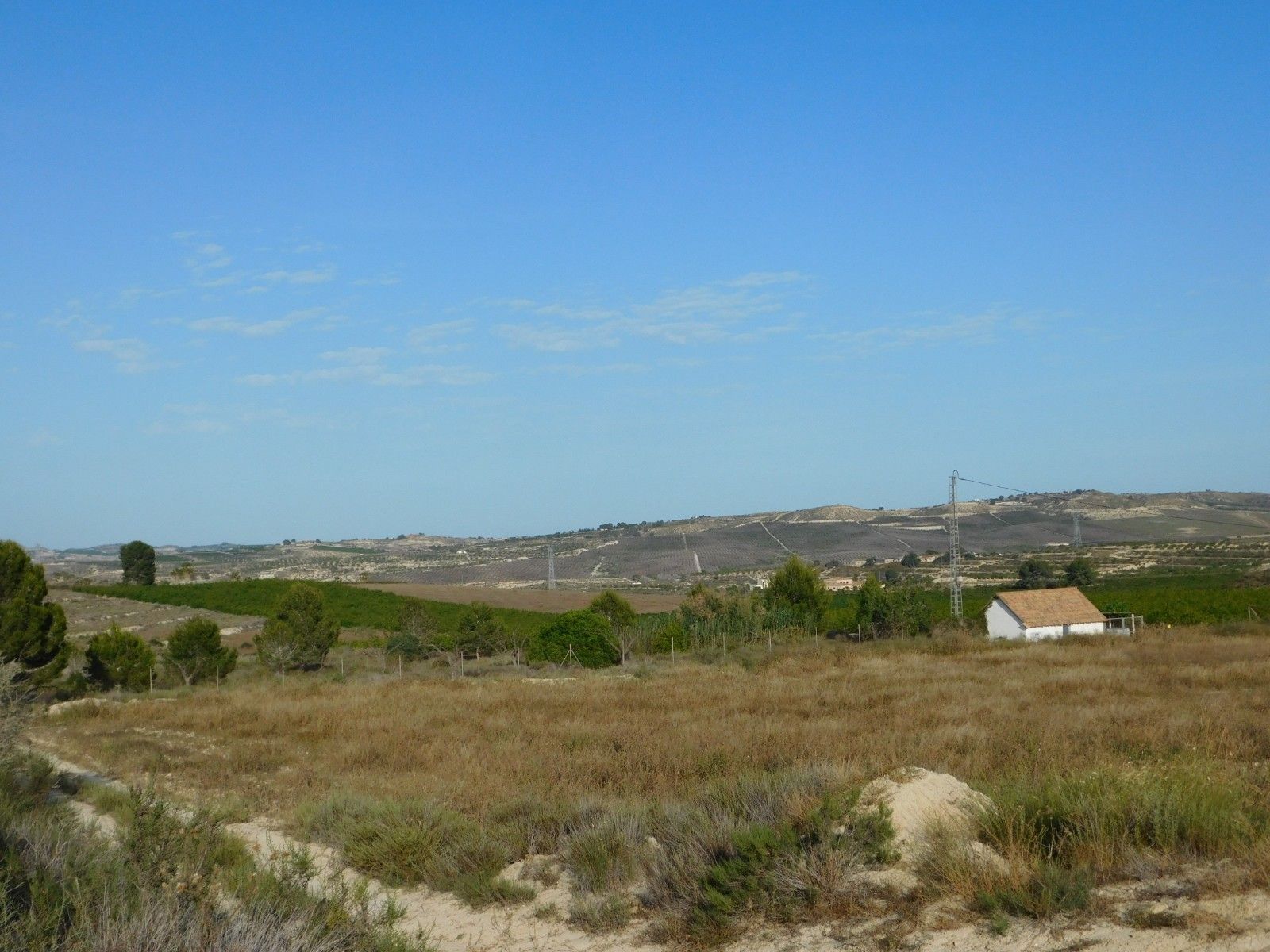 Land in Torremendo in Torremendo, Land