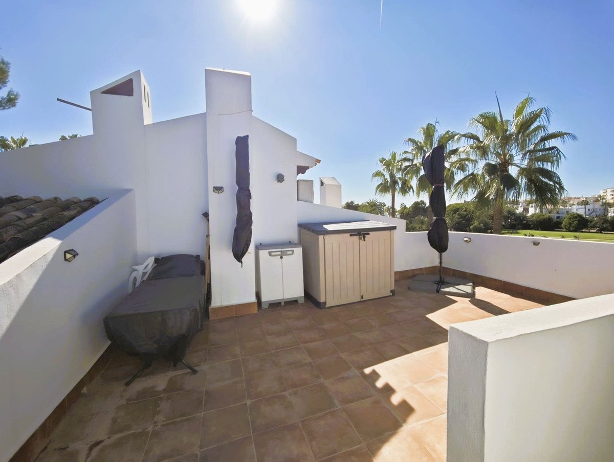 Sunny rooftop terrace with tiled patio, palm trees, and outdoor storage.