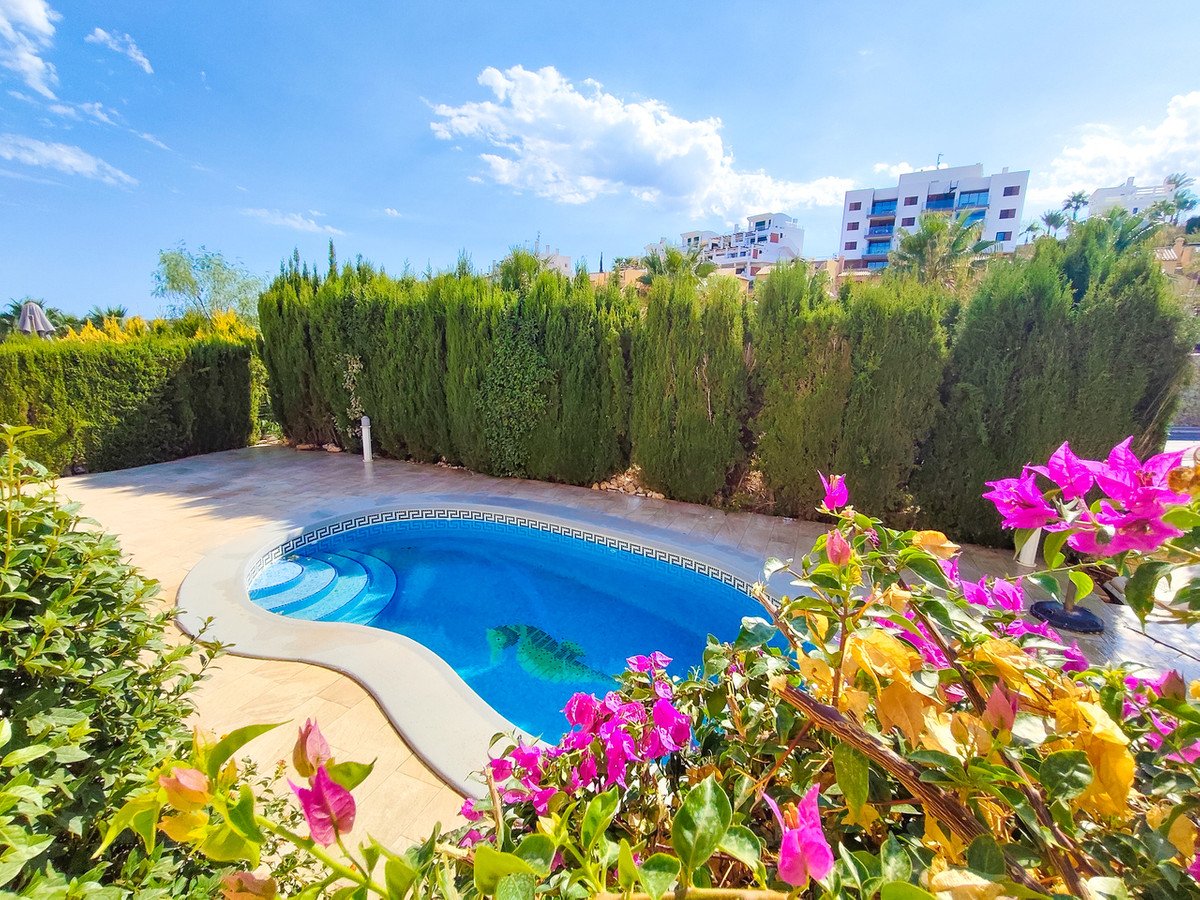A private swimming pool with blue water and steps, surrounded by a tiled patio, manicured green hedges, and vibrant pink flowers.