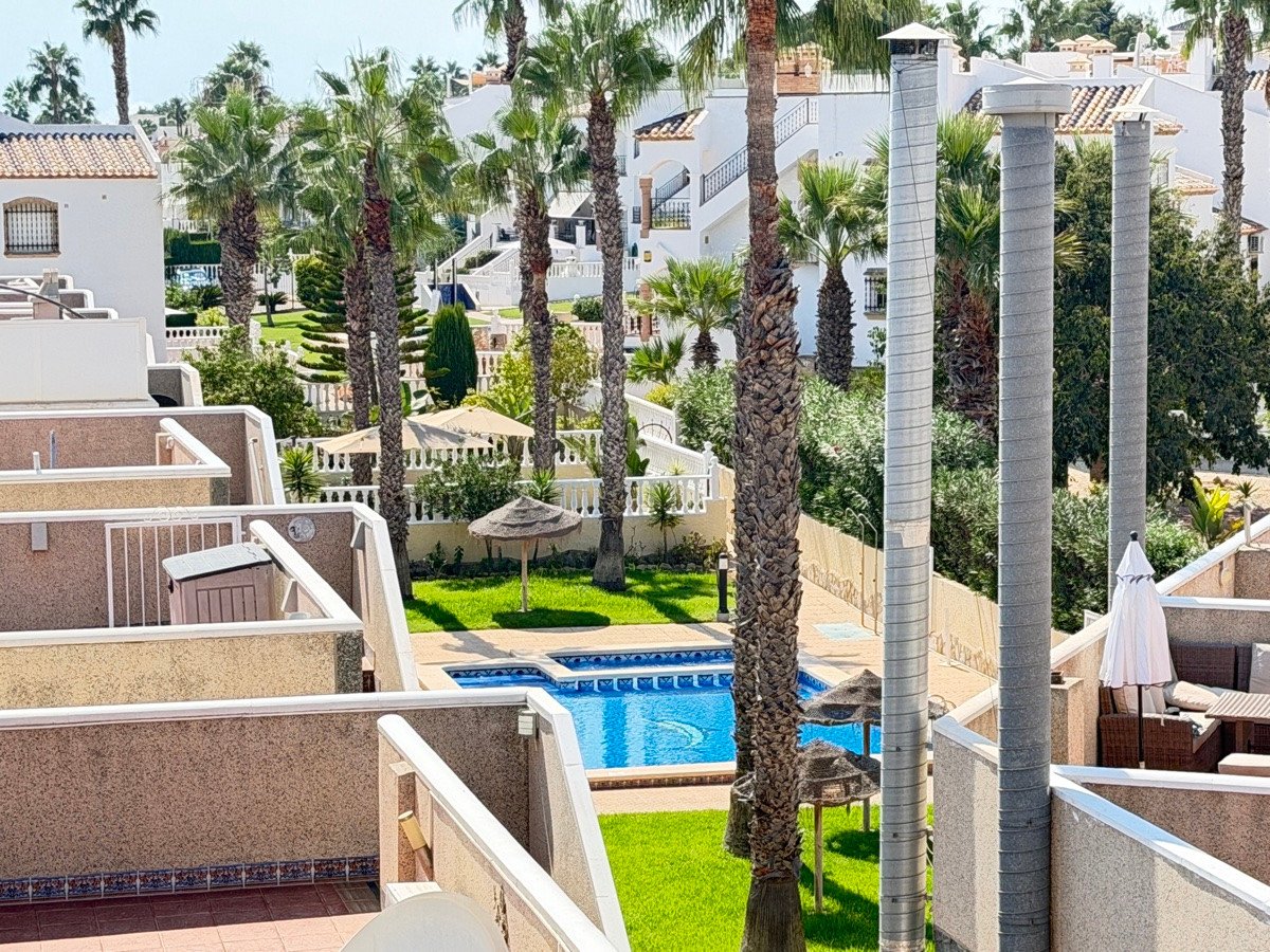 A view of terraced housing with a swimming pool and lush green garden surrounded by palm trees.