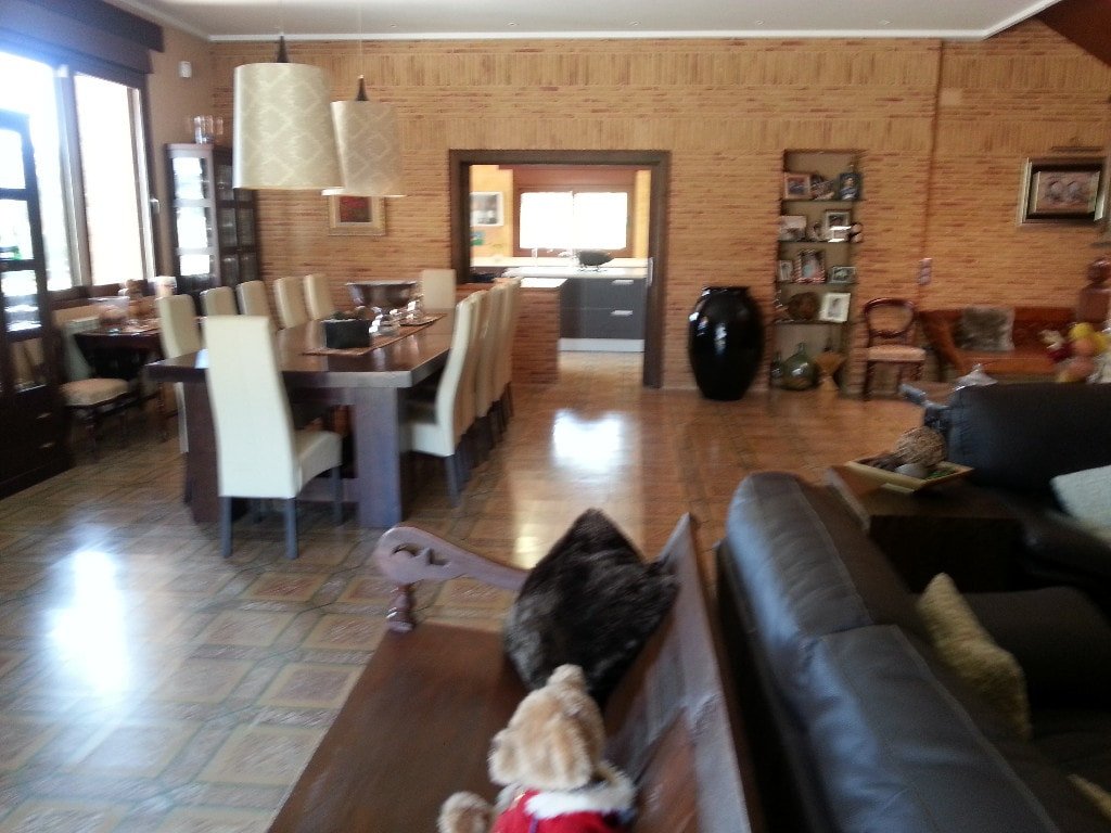 02 photo