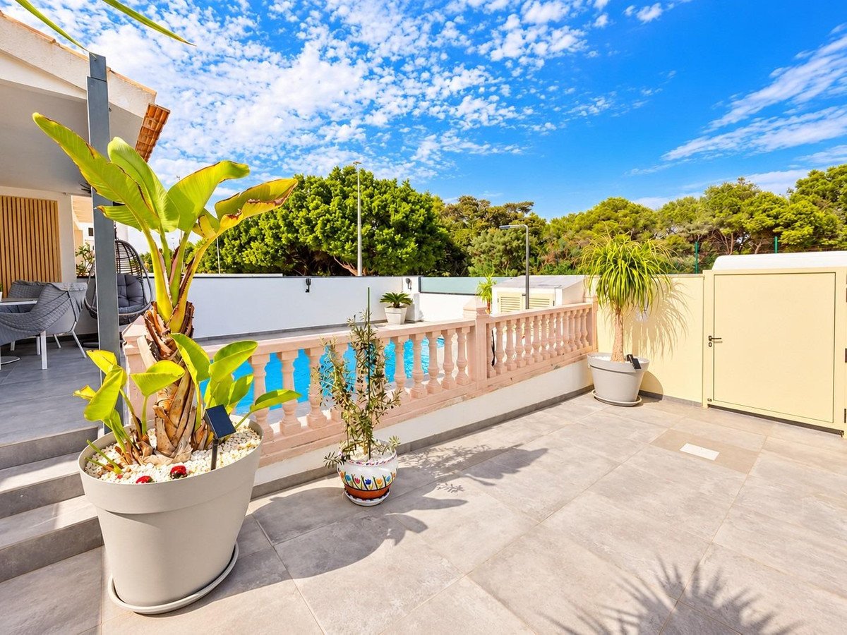 Sunny terrace with a swimming pool, lush green plants, and outdoor seating area under a blue sky.
