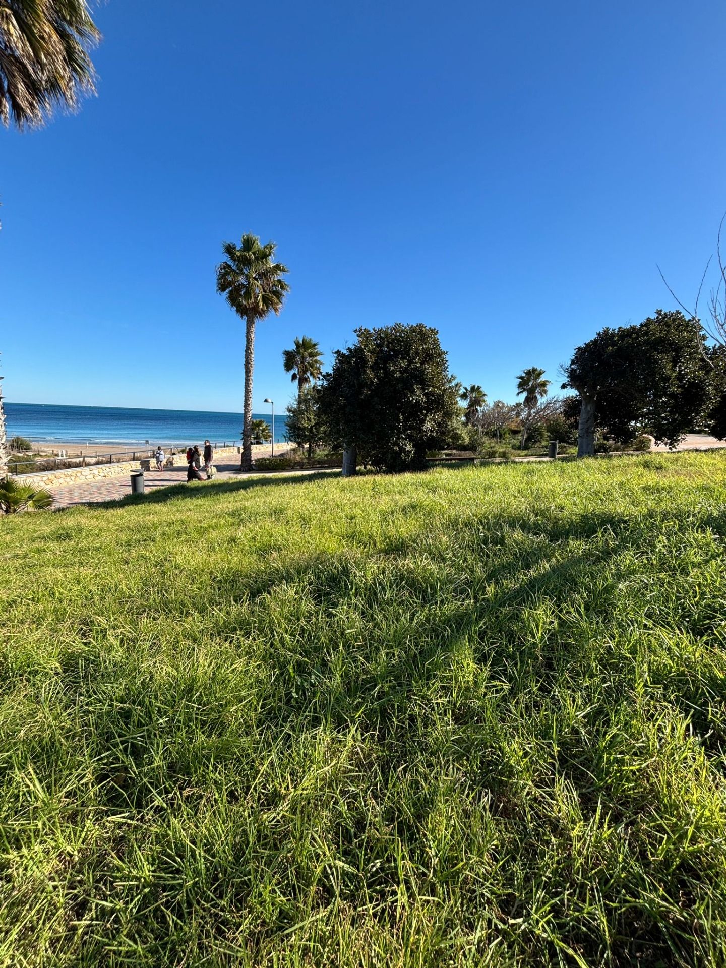 2 Bed Bungalow in Pilar de la Horadada في Pilar de la Horadada — بنجلا