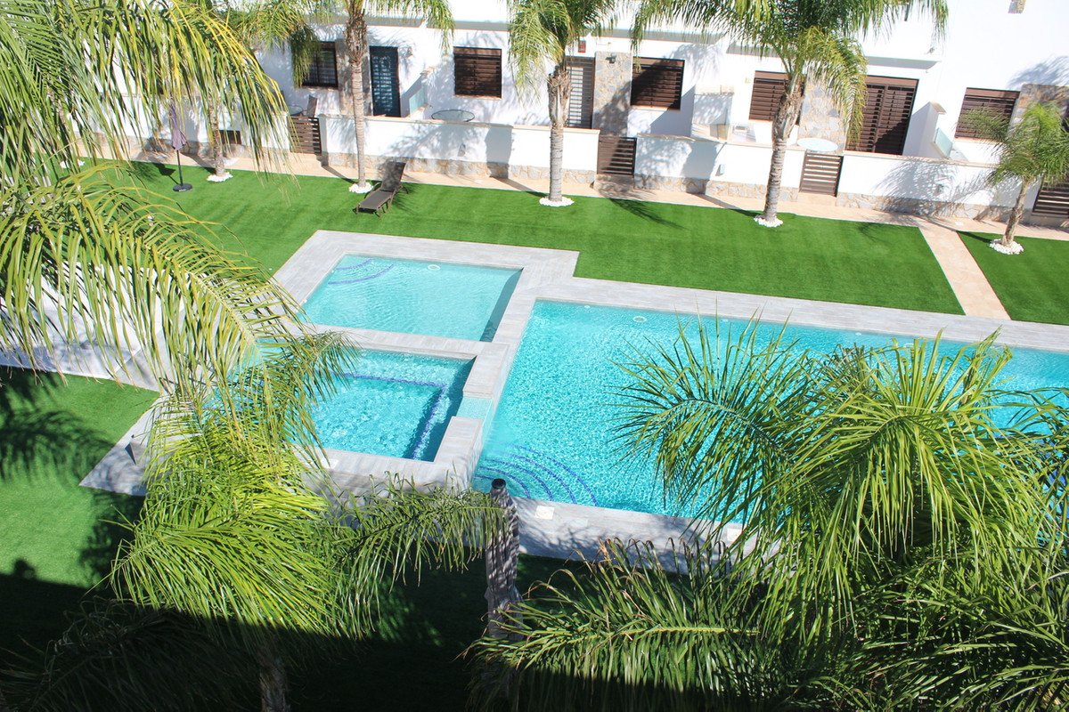 Outdoor pool area with palm trees and artificial grass lawn