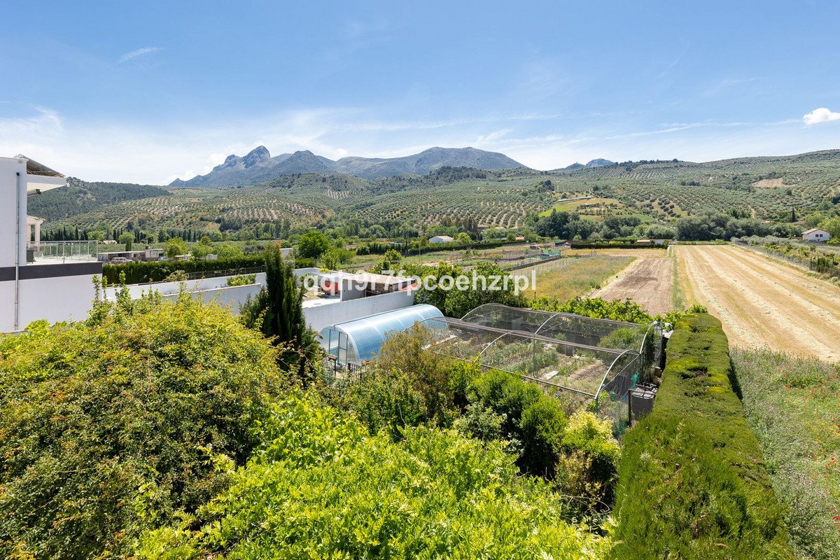 7 Bed Detached Villa in Deifontes in Deifontes, Detached Villa