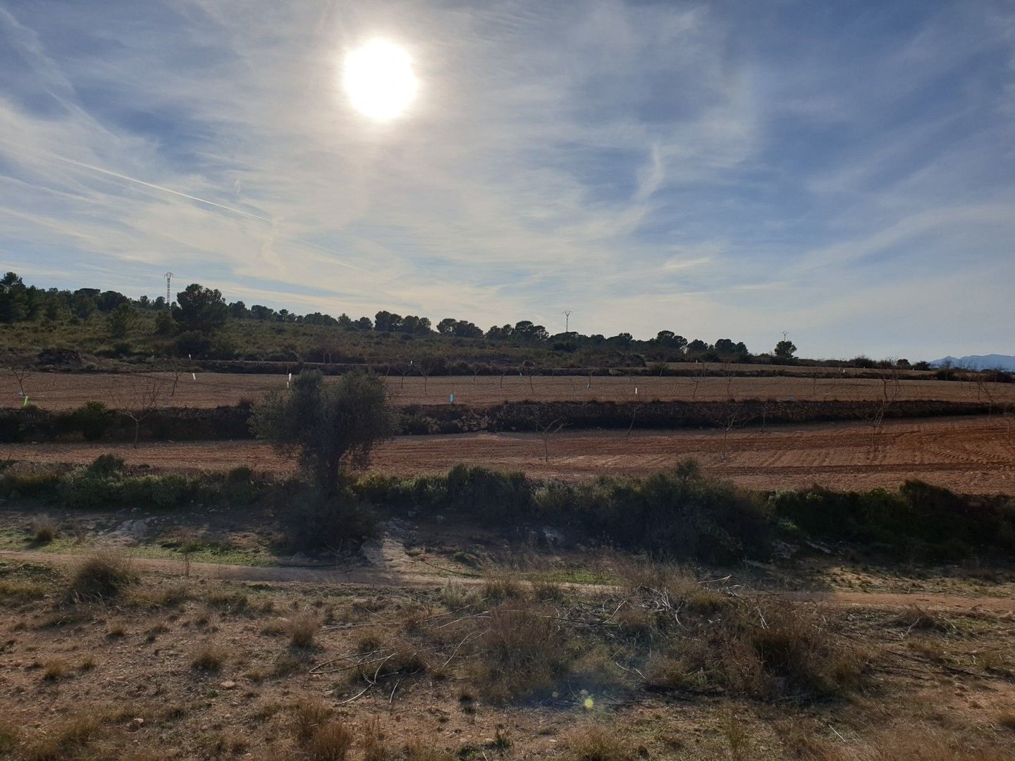 Land in Pinoso i Pinoso — Grund