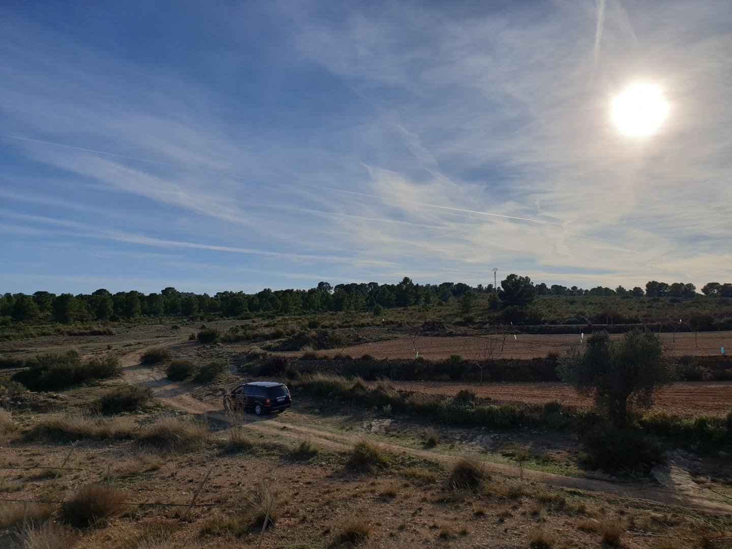 06 sunny countryside landscape