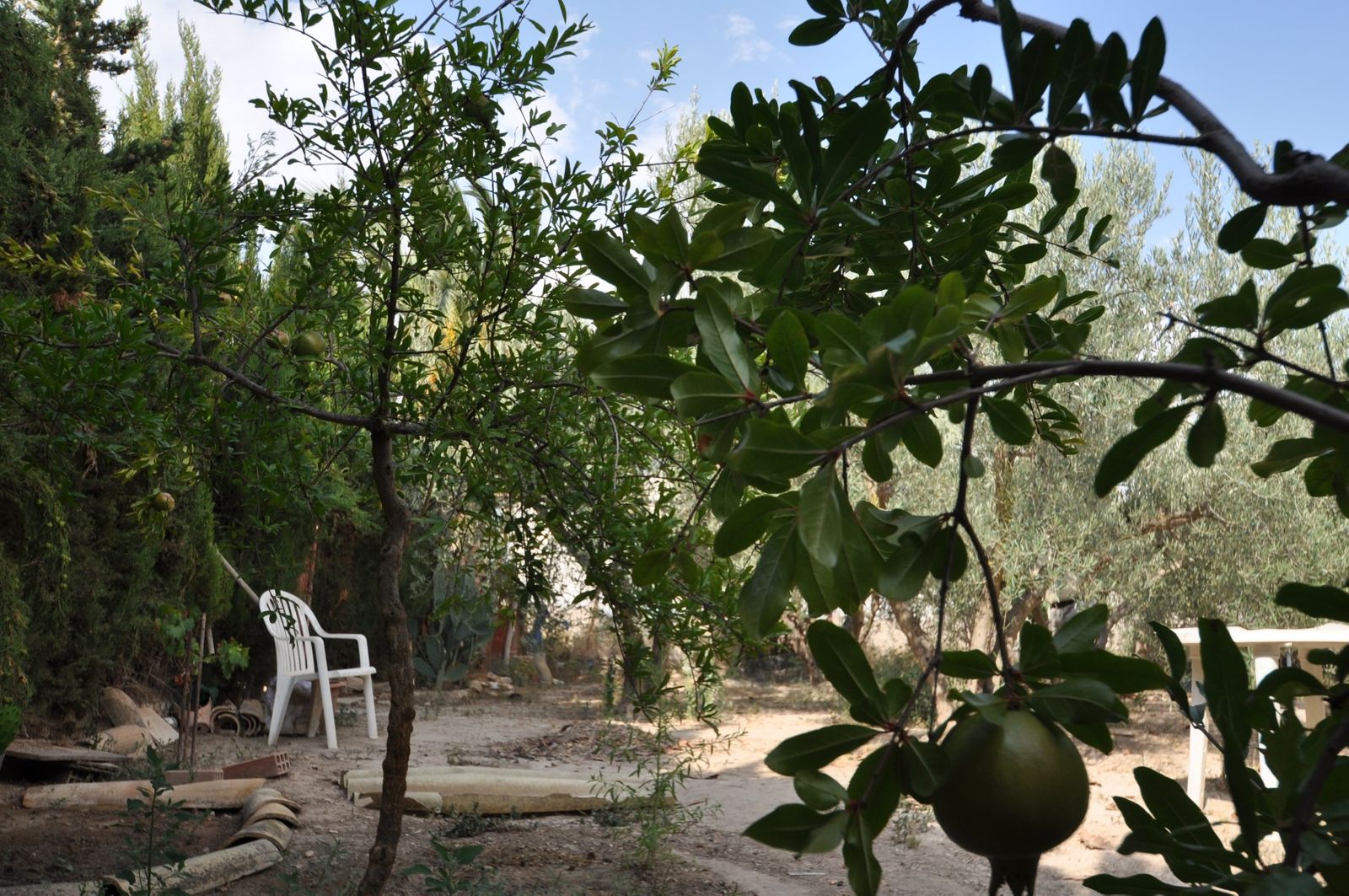 09 photo