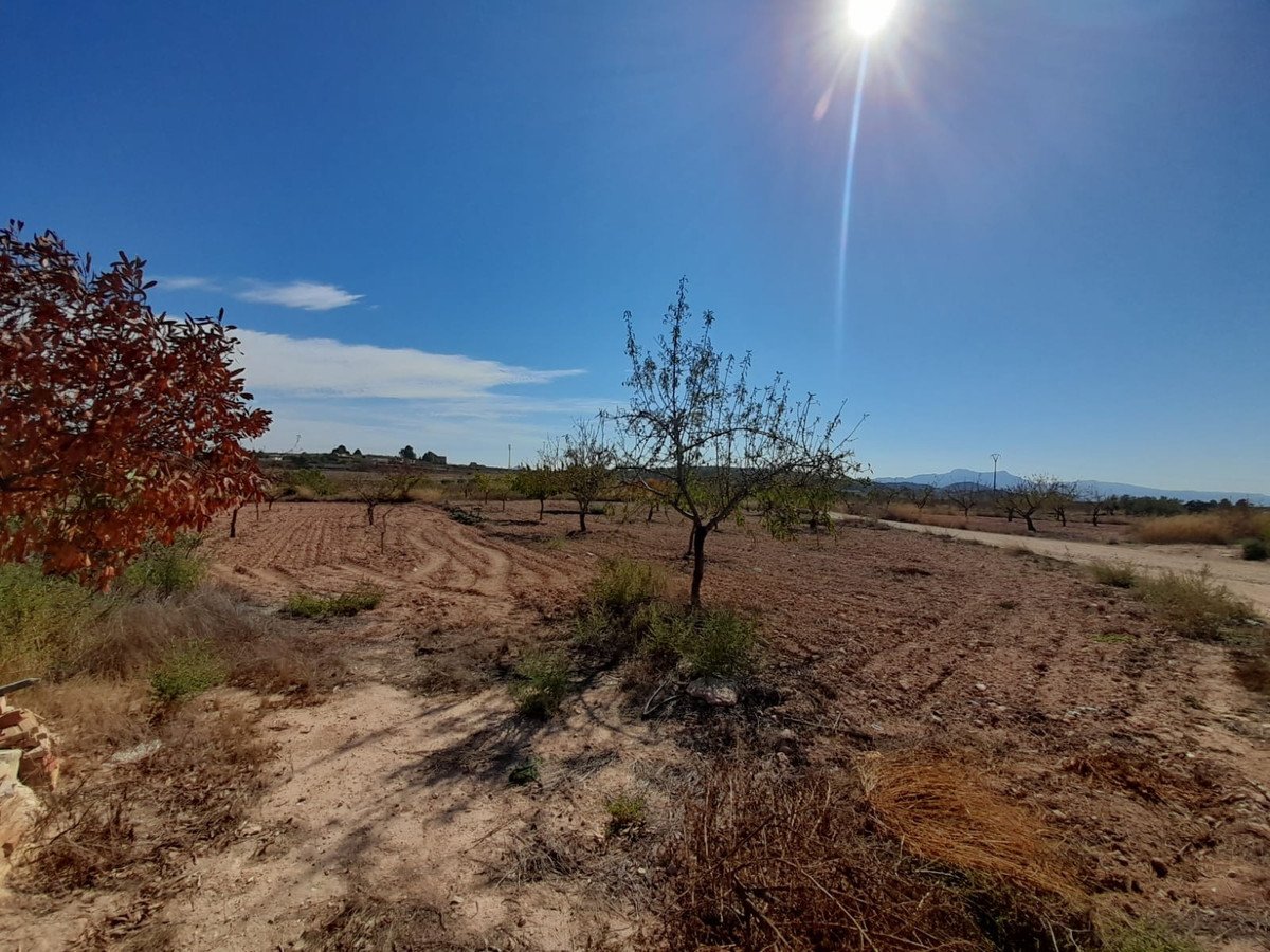 4 Bed Finca in Pinoso in Pinoso, Finca