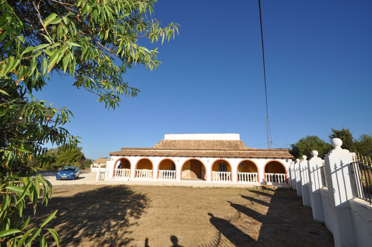 04 photo