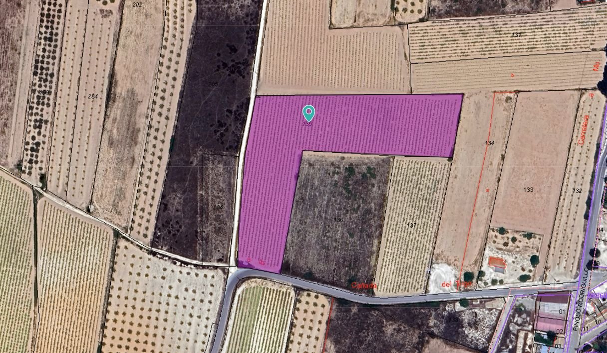 Land in Pinoso σε Pinoso — Γη