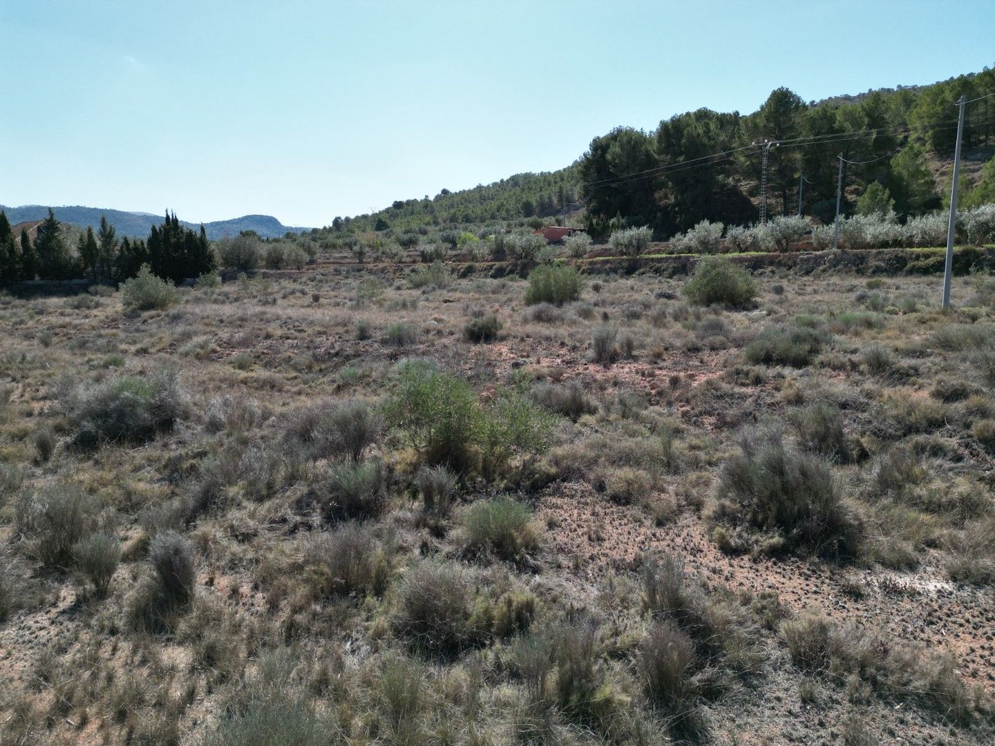 Land in Pinoso - Pinoso — Maa