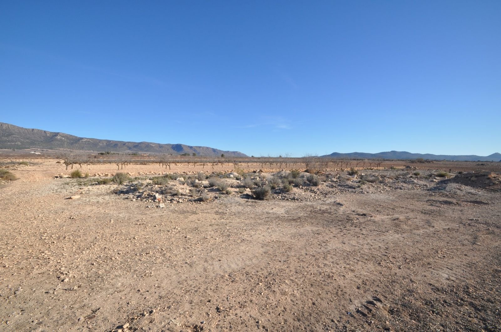 02 desert landscapes