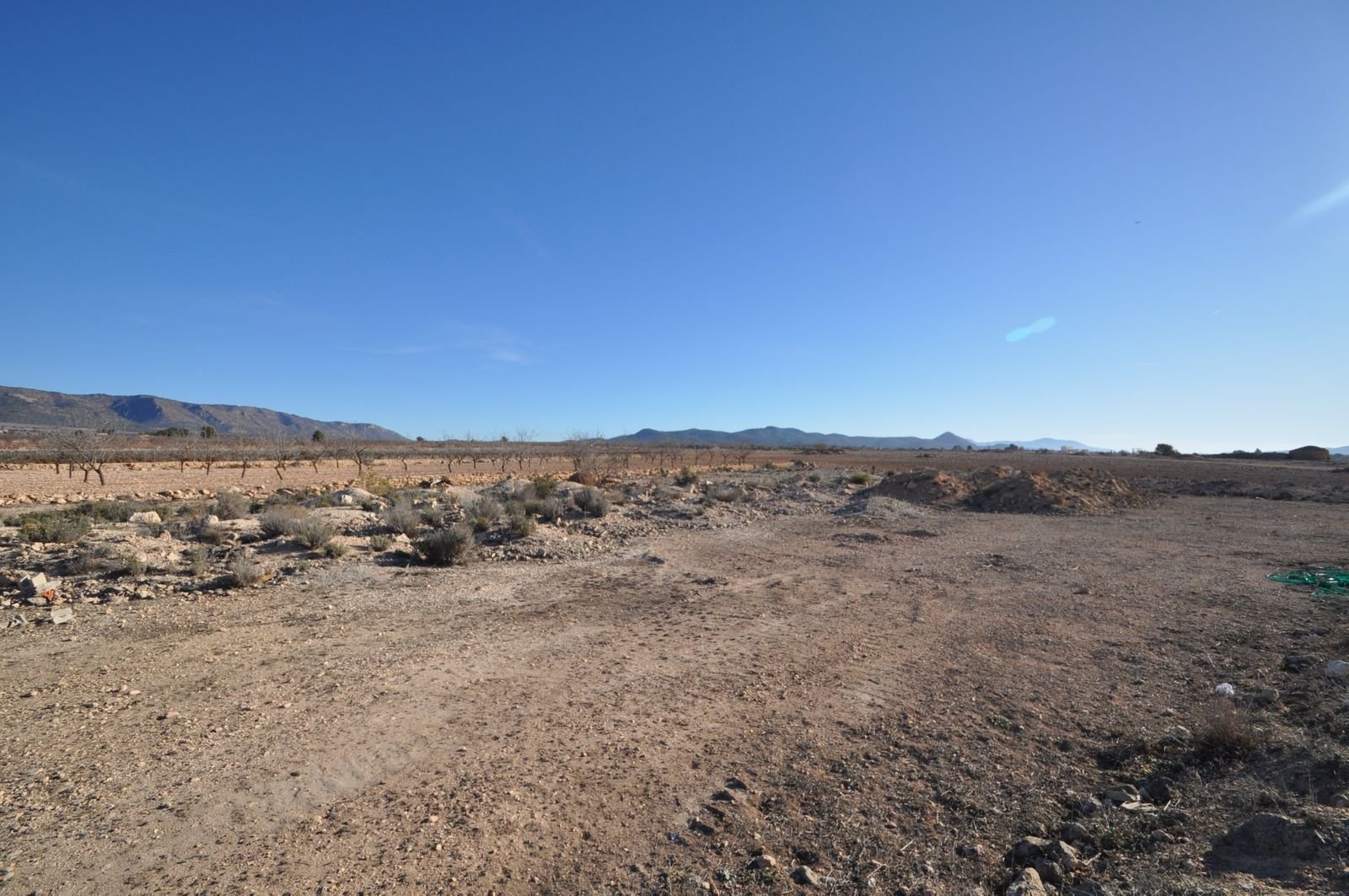 03 desert landscaped outdoor space