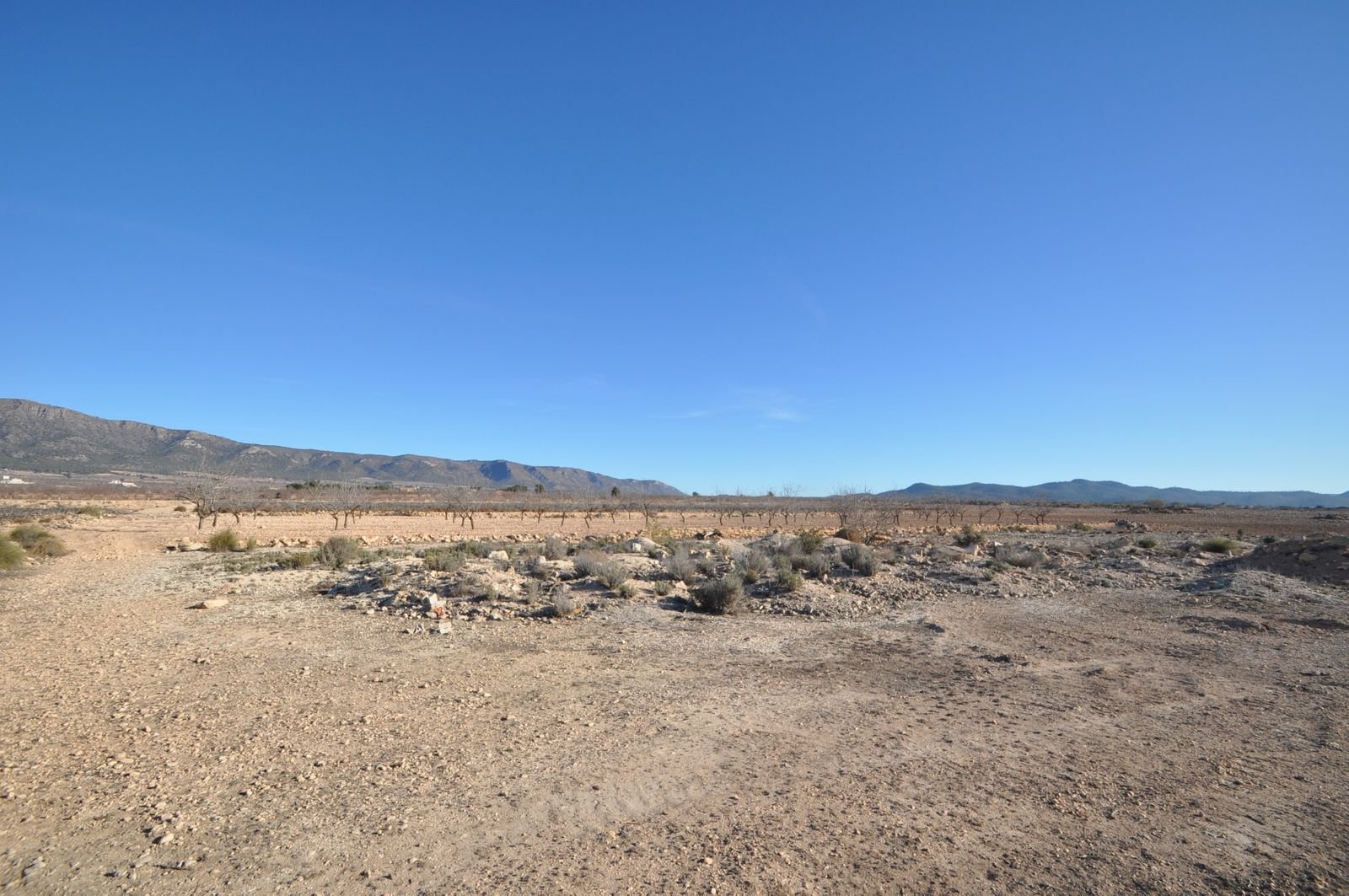 04 desert landscapes