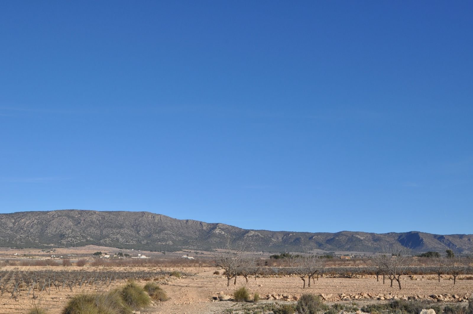 05 desert landscape view