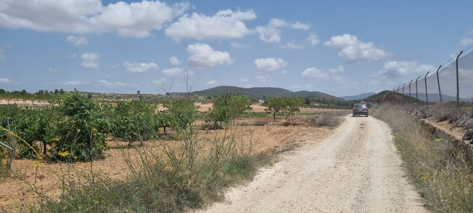 Dirt road leading to a rural property with a scenic mountain view.