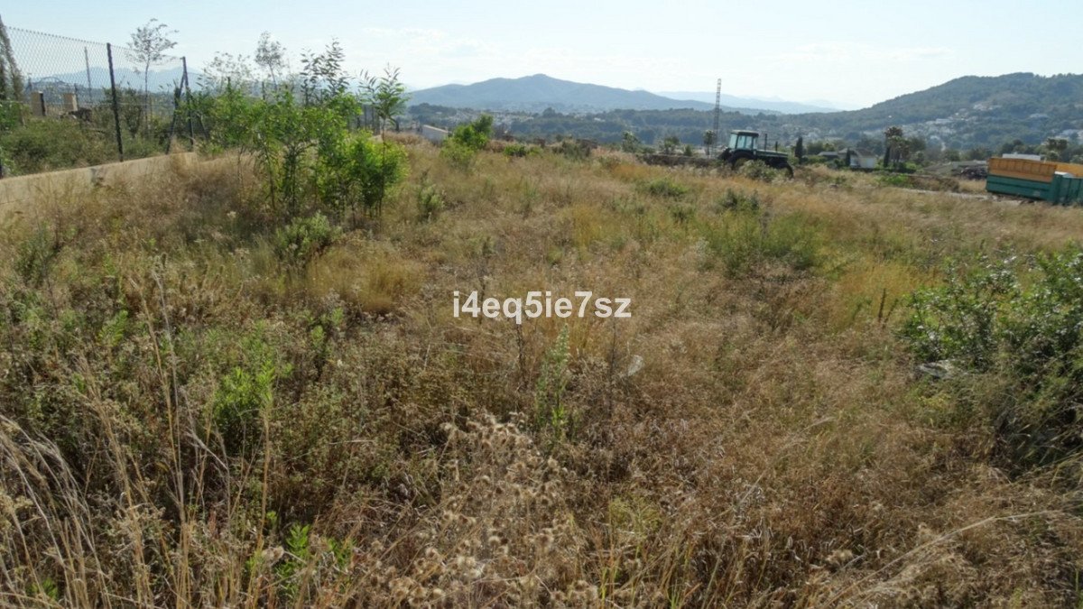 09 photo