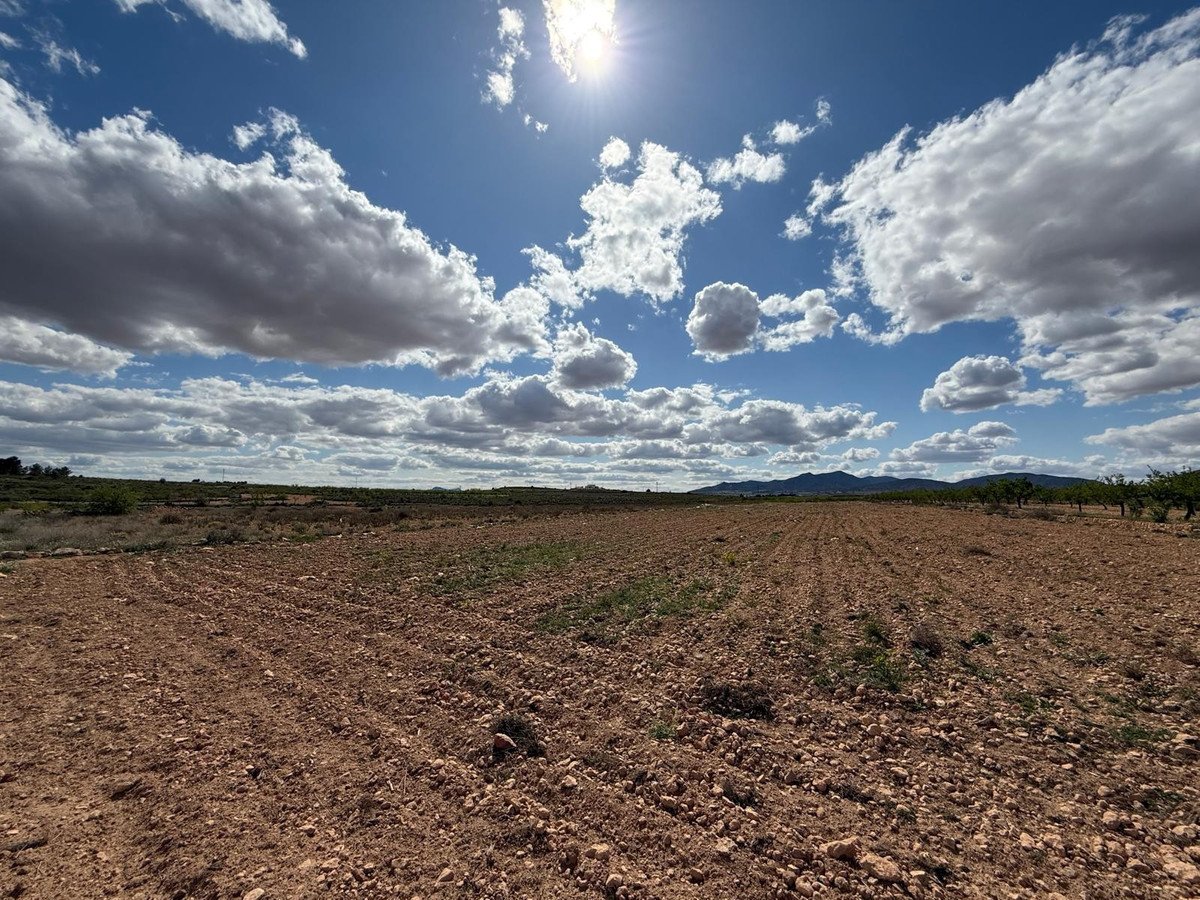 Land in Pinoso in Pinoso, Land