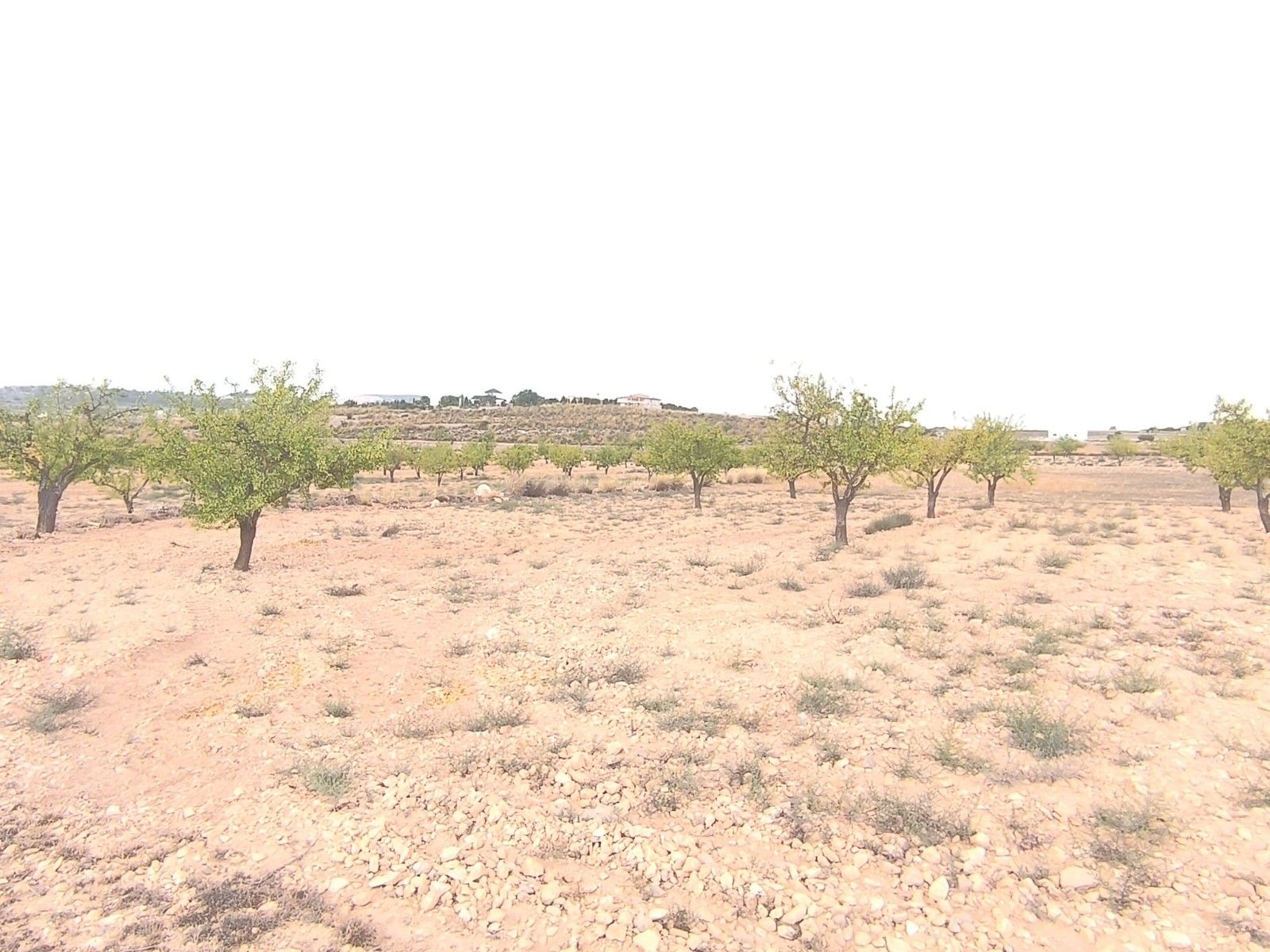 02 photo