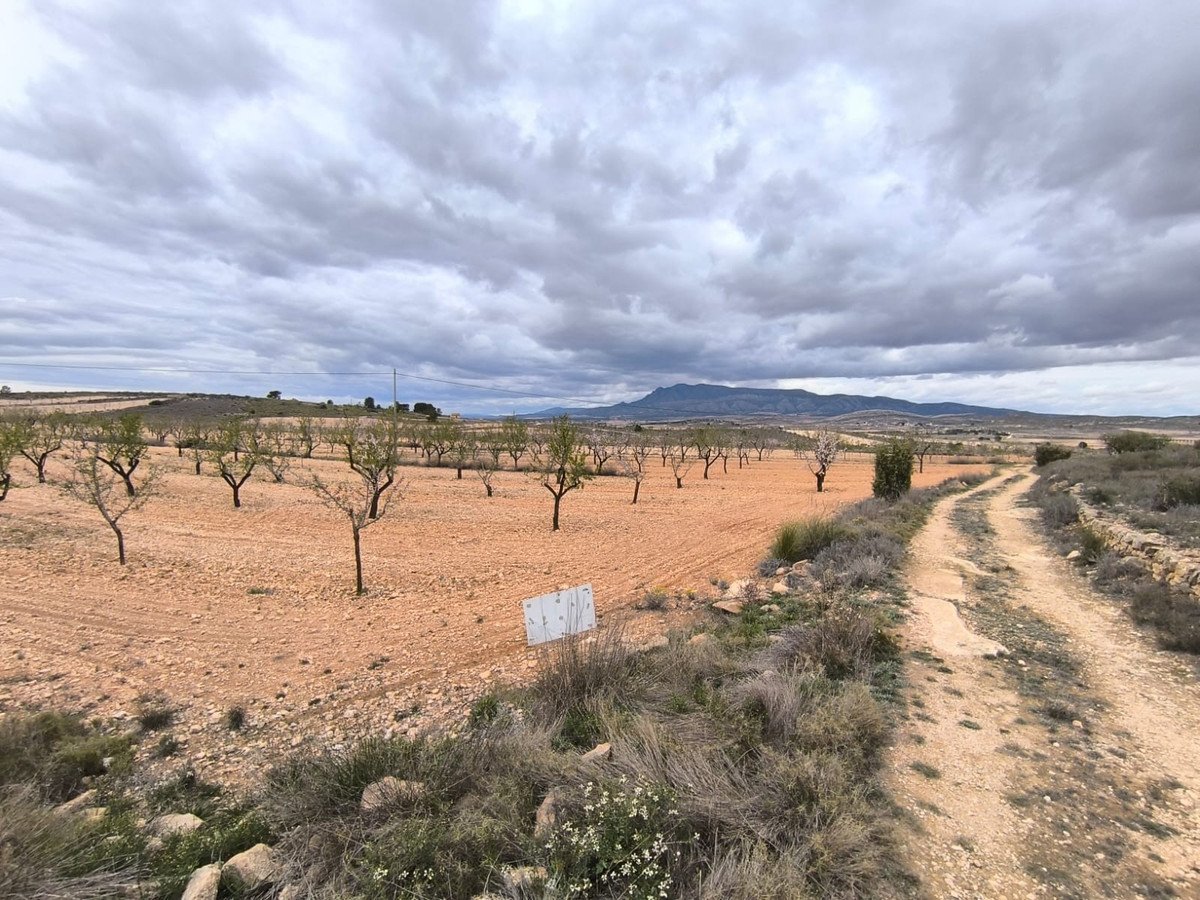 Land in Pinoso in Pinoso — Land