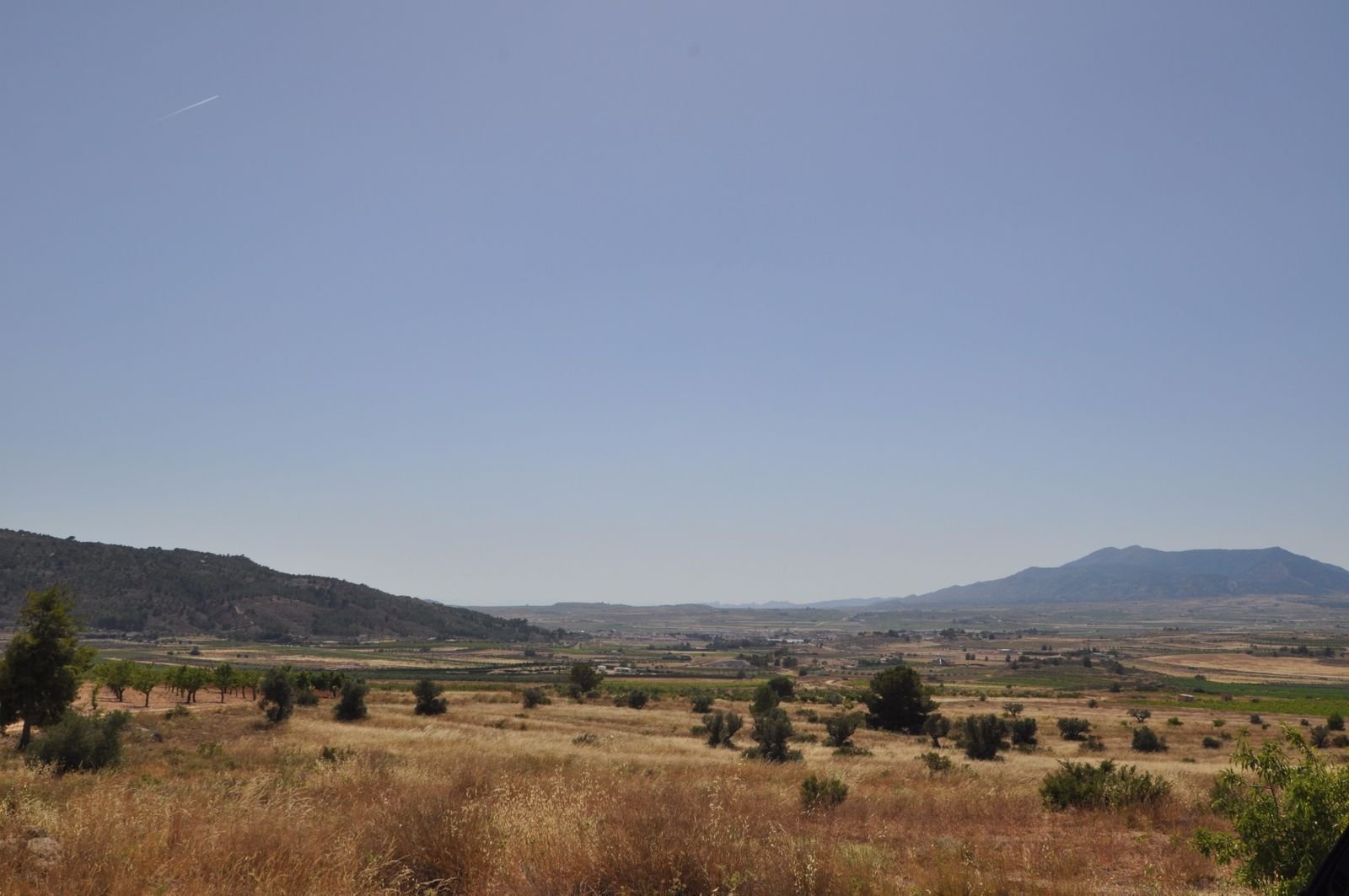 09 photo