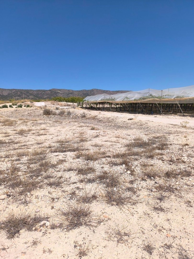 05 desert landscape view