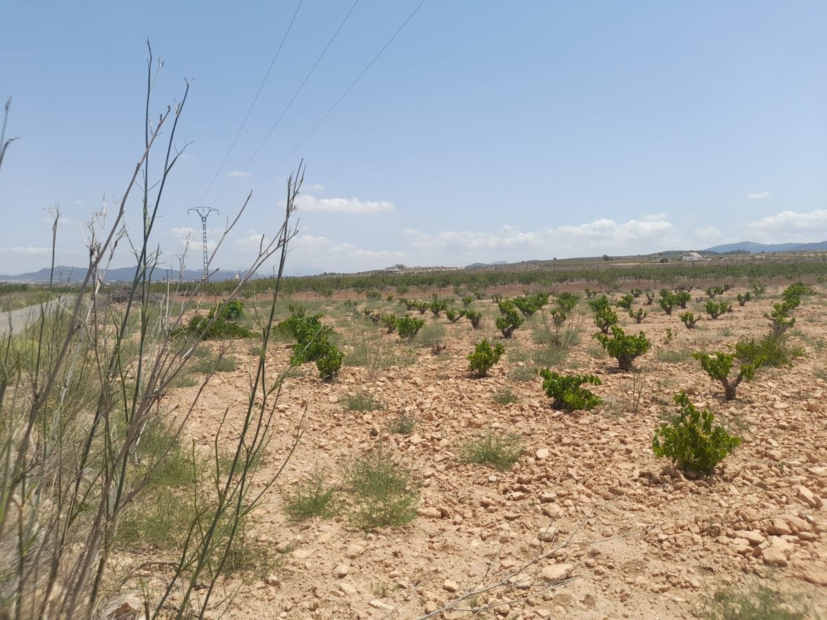 04 photo