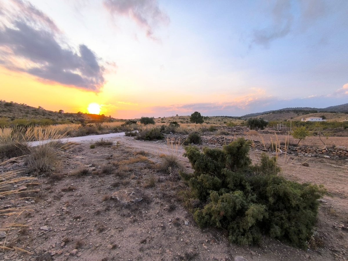 Land in Pinoso in Pinoso, Land