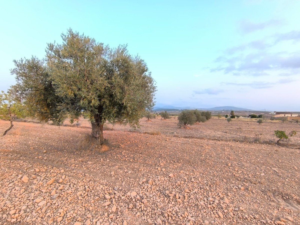 03 photo