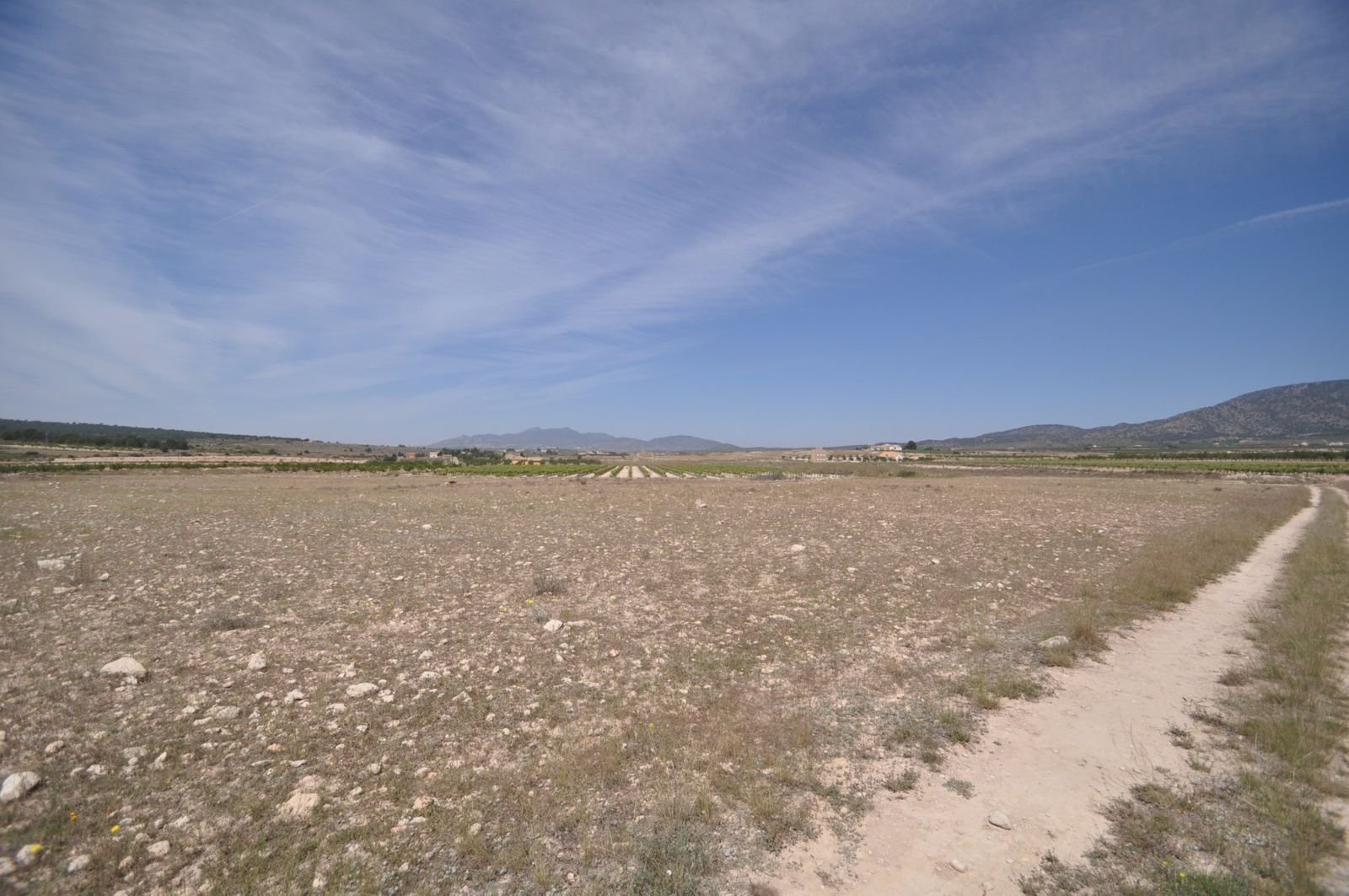 03 photo