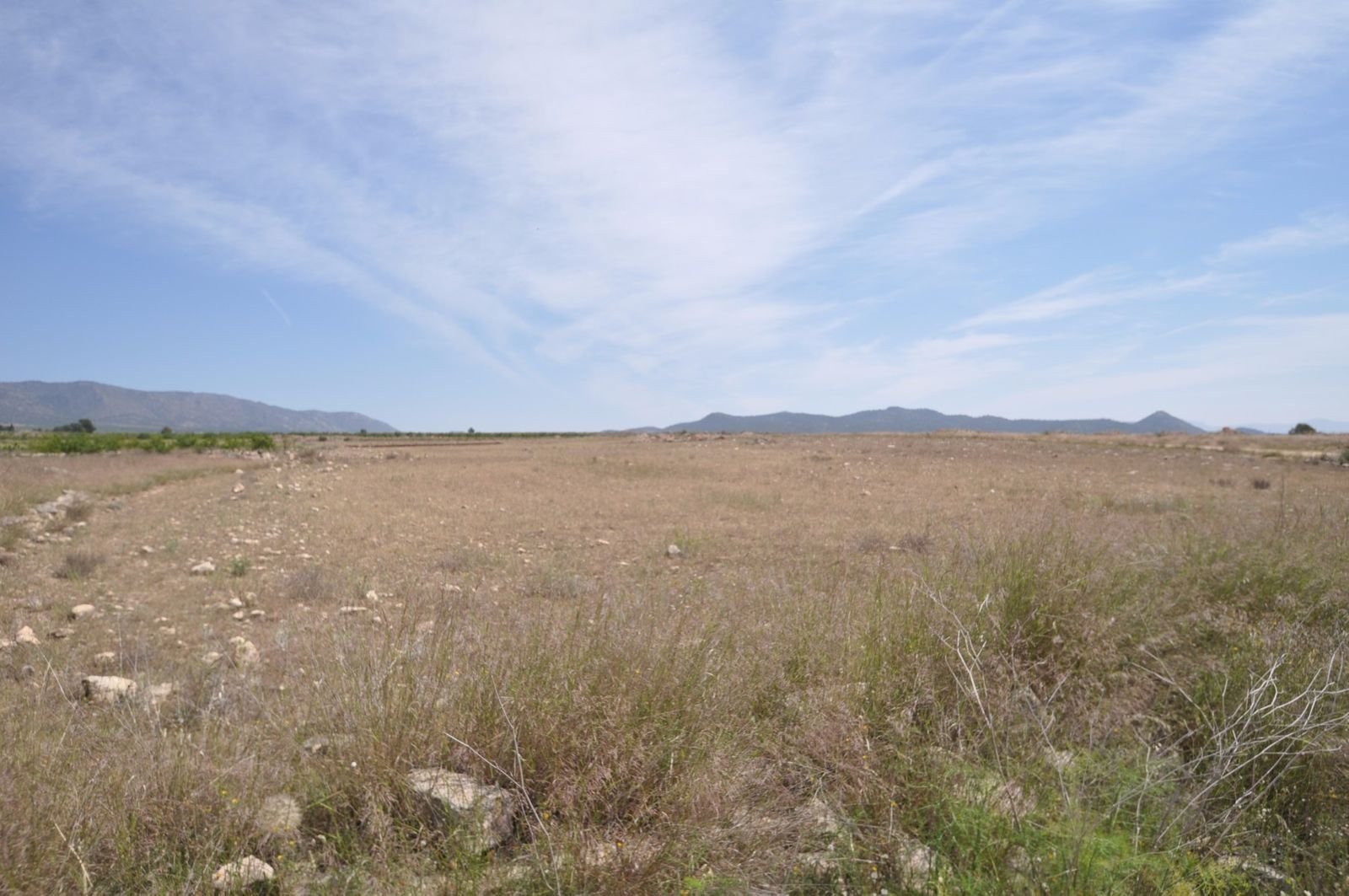 08 photo