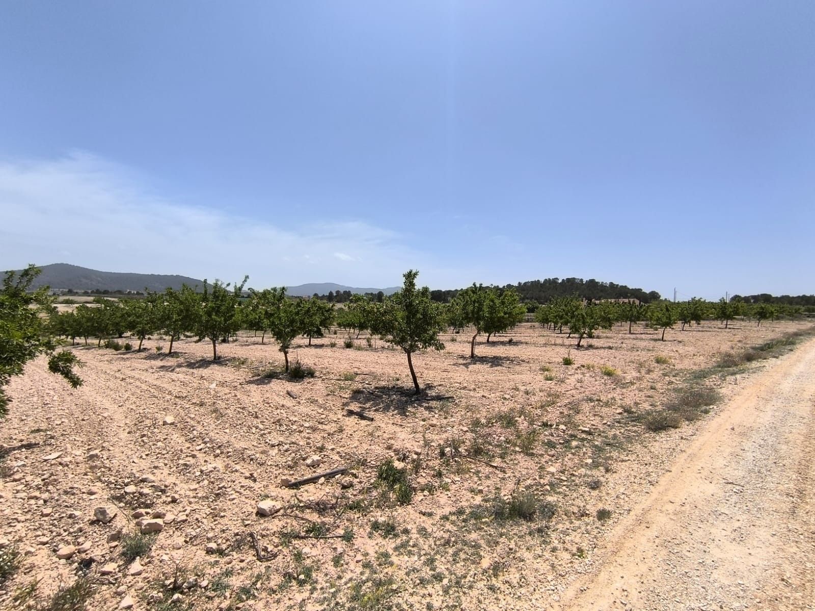 06 photo