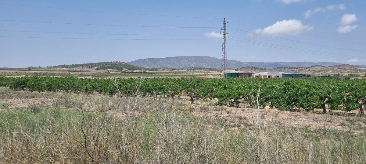 Land in Pinoso in Pinoso, Land