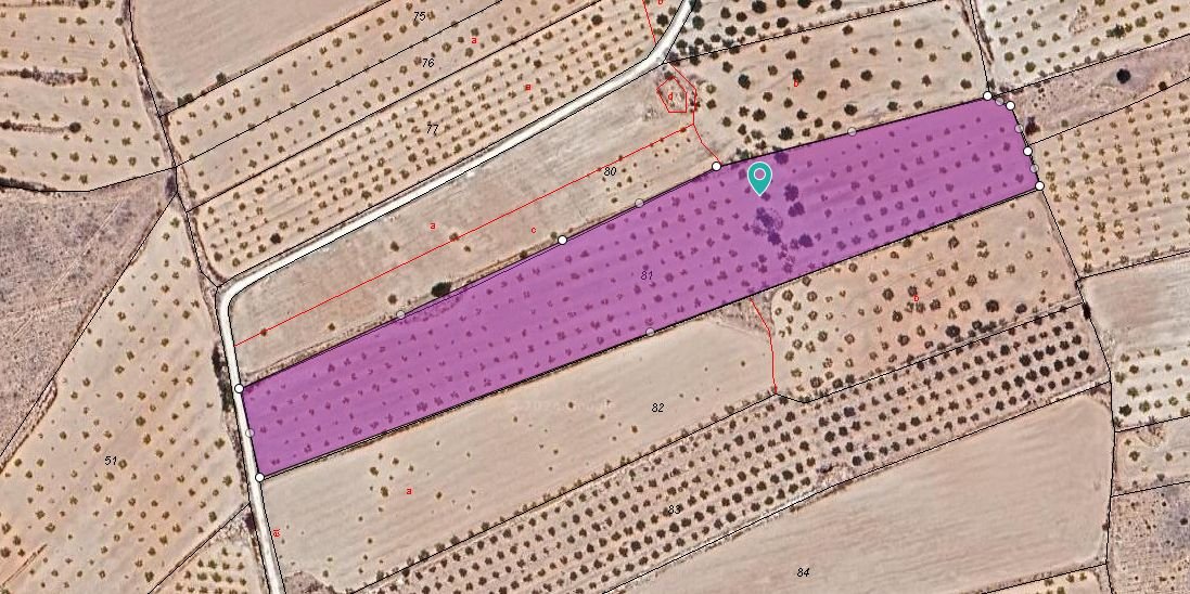 Land in Pinoso u Pinoso — Zemljište