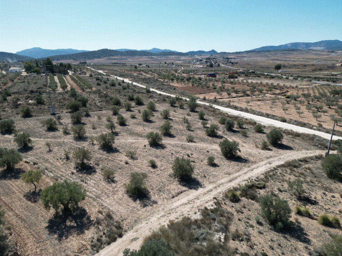 Land in Pinoso في Pinoso, أرض