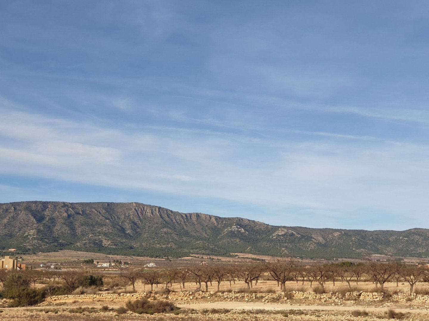 Land in Pinoso in Pinoso, Land